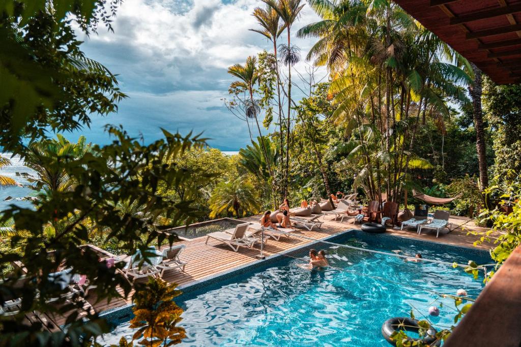 Imagen del paquete 3