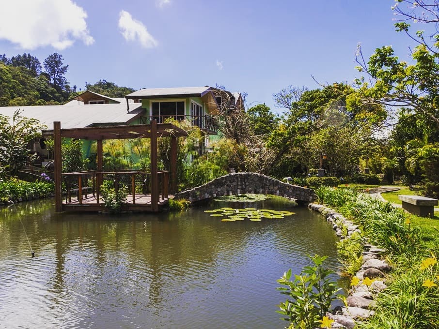 Imagen del paquete 2